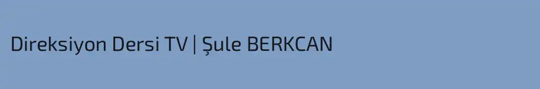Direksiyon Dersi TV | Şule BERKCAN